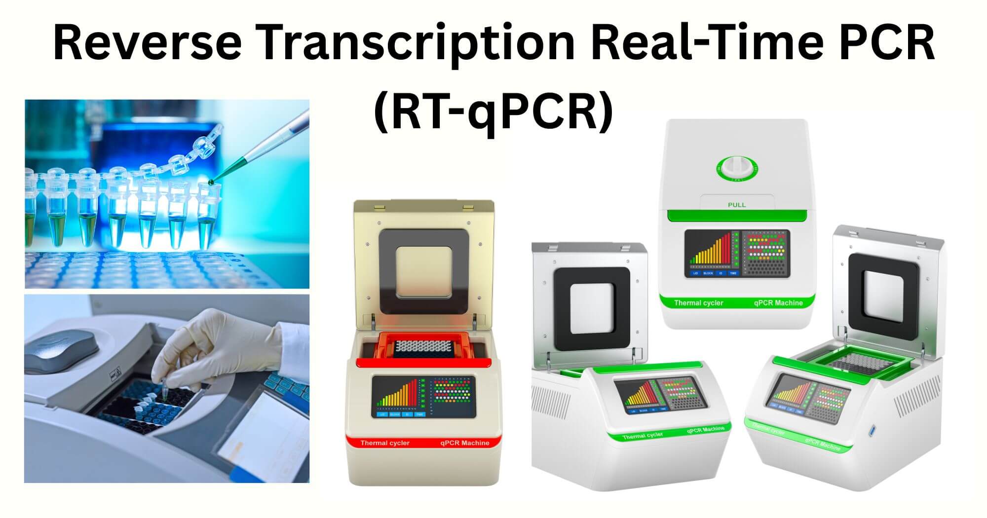 Reverse Transcription Real Time PCR RT qPCR Reverse Transcription Real-Time PCR (RT-qPCR)