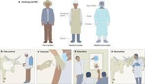 image 75 Prevention of Crimean–Congo hemorrhagic fever