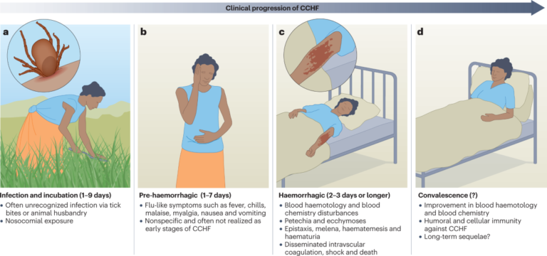 Crimean-Congo Hemorrhagic Fever Virus (CCHFV): An Overview