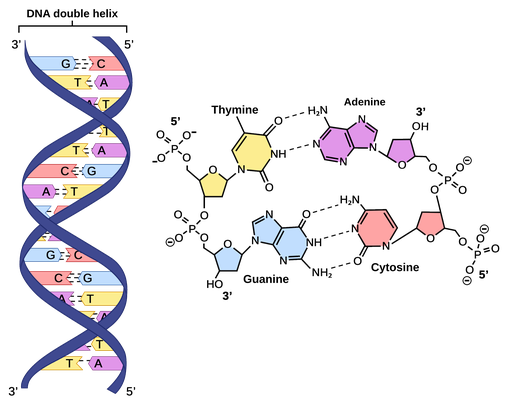 image 93 Genetic Engineering Concept
