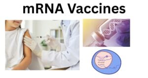 mRNA Vaccines mRNA Vaccines