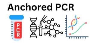 Anchored PCR Anchored PCR