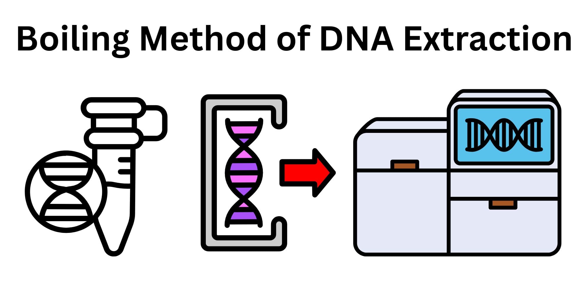 Boiling Method of DNA Boiling Method of DNA Extraction