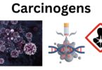 Carcinogens Carcinogens