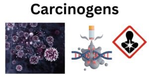 Carcinogens Carcinogens