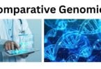 Comparative Genomics Comparative Genomics