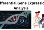 Differential Gene Expression Analysis Differential Gene Expression Analysis for RNA Sequencing