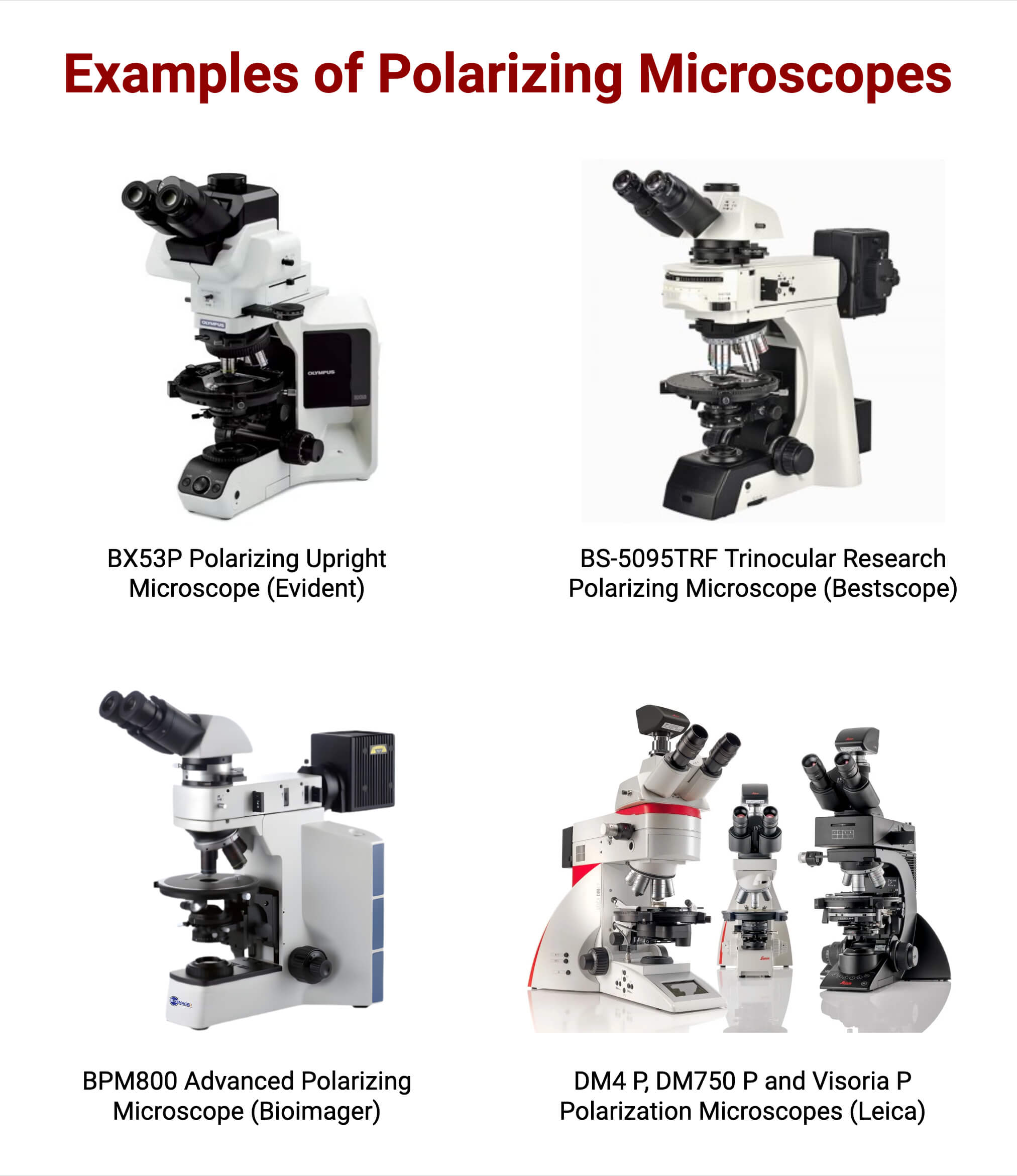 Examples of Polarizing Microscope Examples of Polarizing Microscope