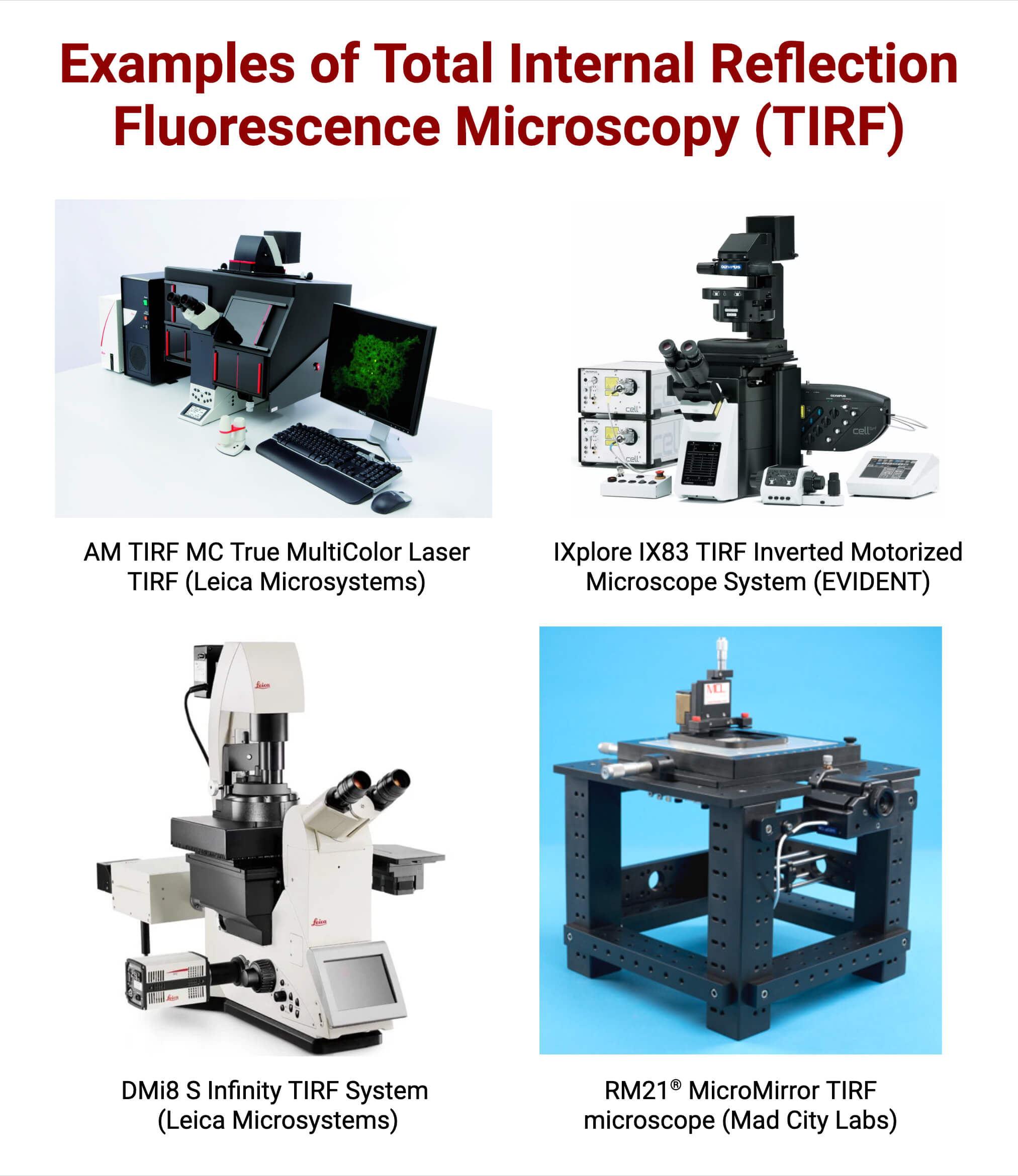 Examples of Total Internal Reflection Fluorescence Microscopy TIRF Examples of Total Internal Reflection Fluorescence Microscopy (TIRF)