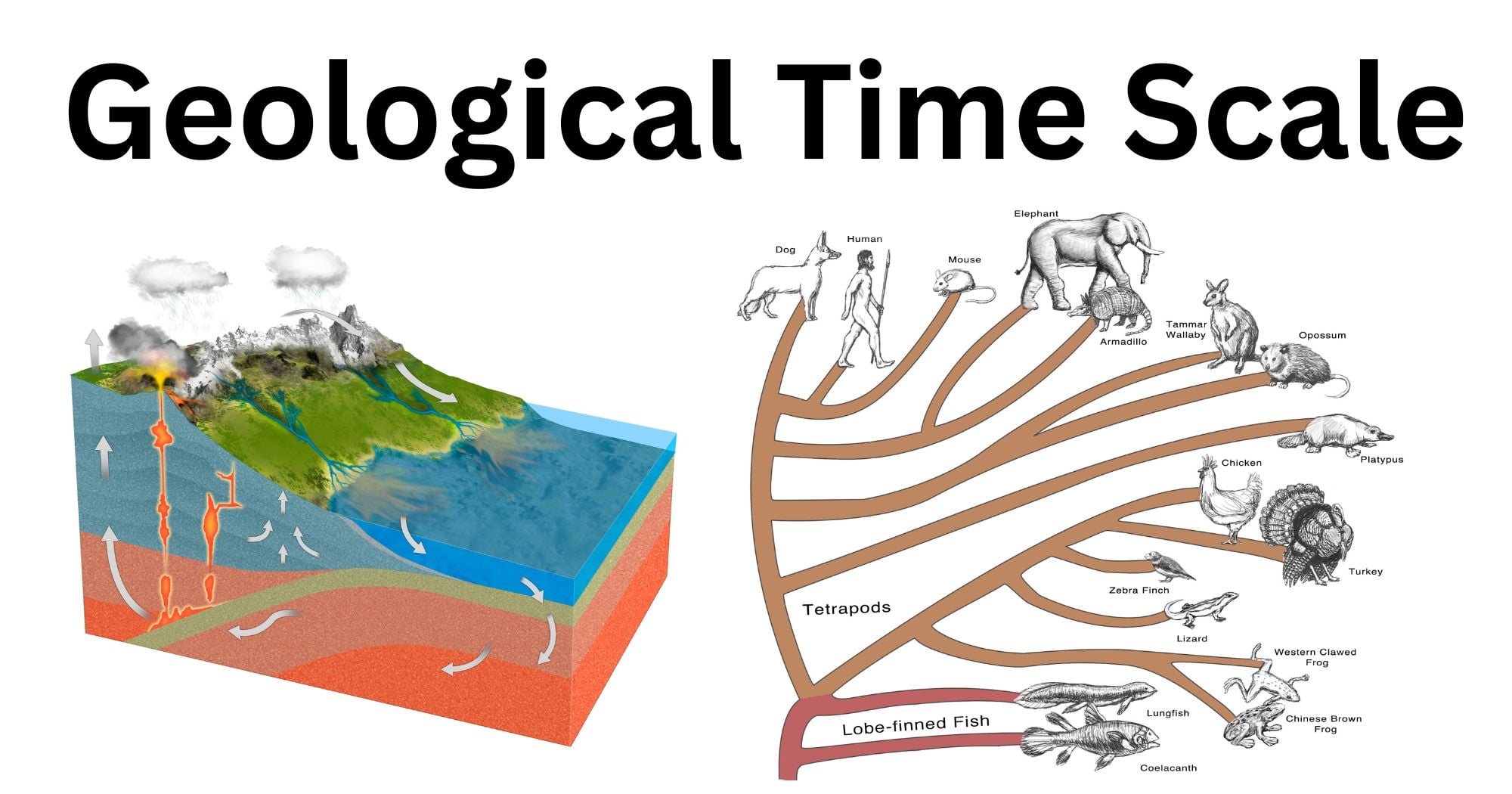 Geological time scale Geological time scale
