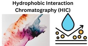 Hydrophobic Interaction Chromatography HIC Hydrophobic Interaction Chromatography (HIC)