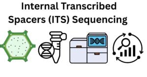 Internal Transcribed Spacers ITS Sequencing 1 Internal Transcribed Spacers (ITS) Sequencing