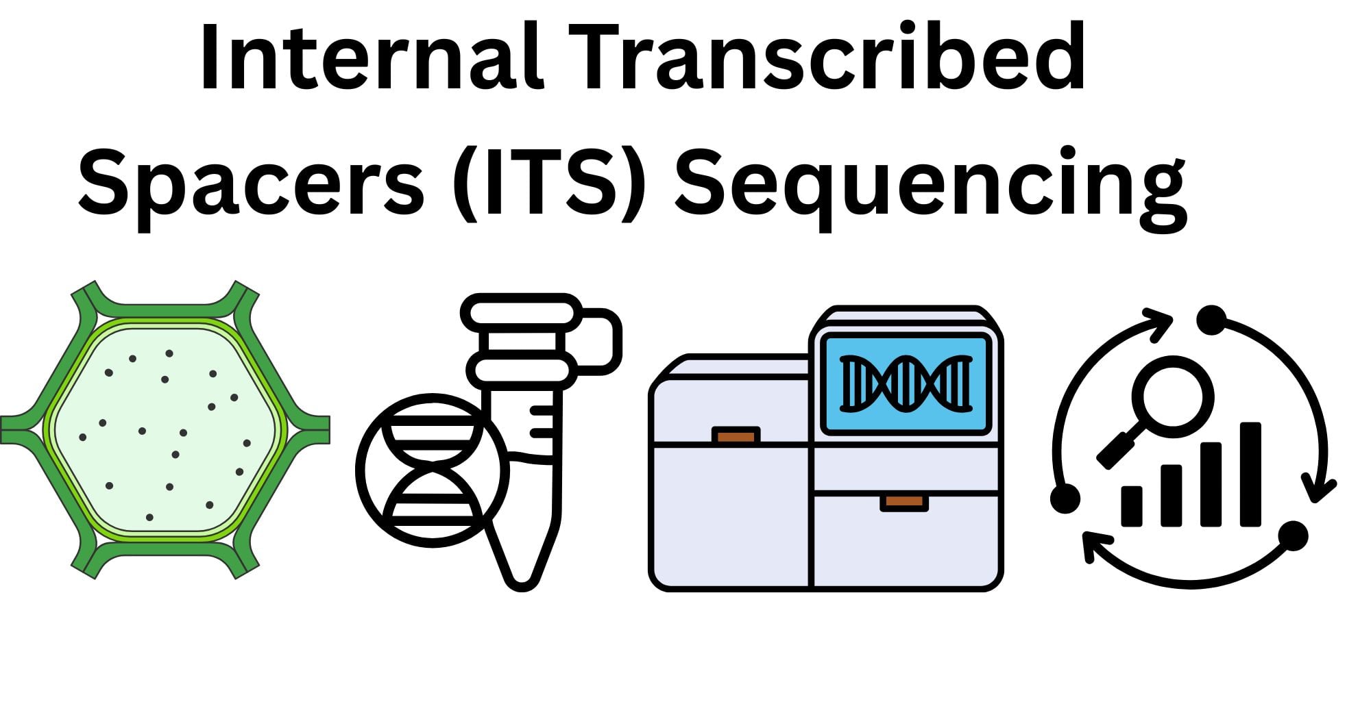 Internal Transcribed Spacers ITS Sequencing 1 Internal Transcribed Spacers (ITS) Sequencing