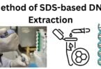 Method of SDS based DNA Extraction Method of SDS-based DNA Extraction