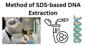 Method of SDS based DNA Extraction Method of SDS-based DNA Extraction