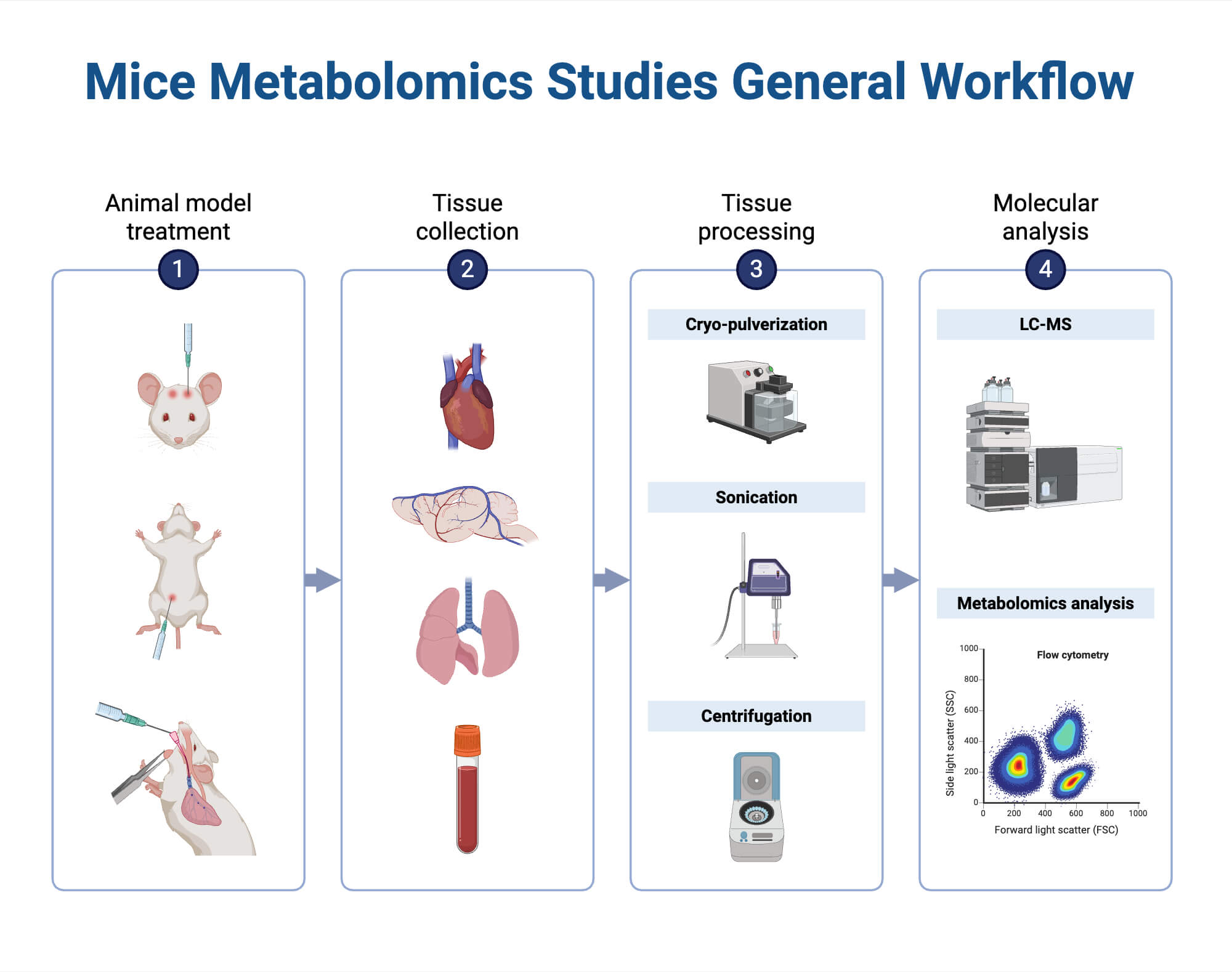 Mice Metabolomics Studies Workflow Mice Metabolomics Studies Workflow