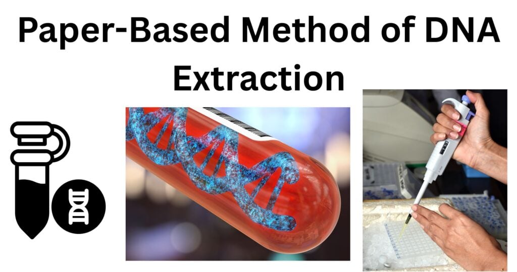 Paper-Based Method of DNA Extraction: Principle, Steps, Uses
