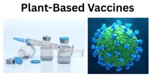 Plant Based Vaccines Plant-Based Vaccines