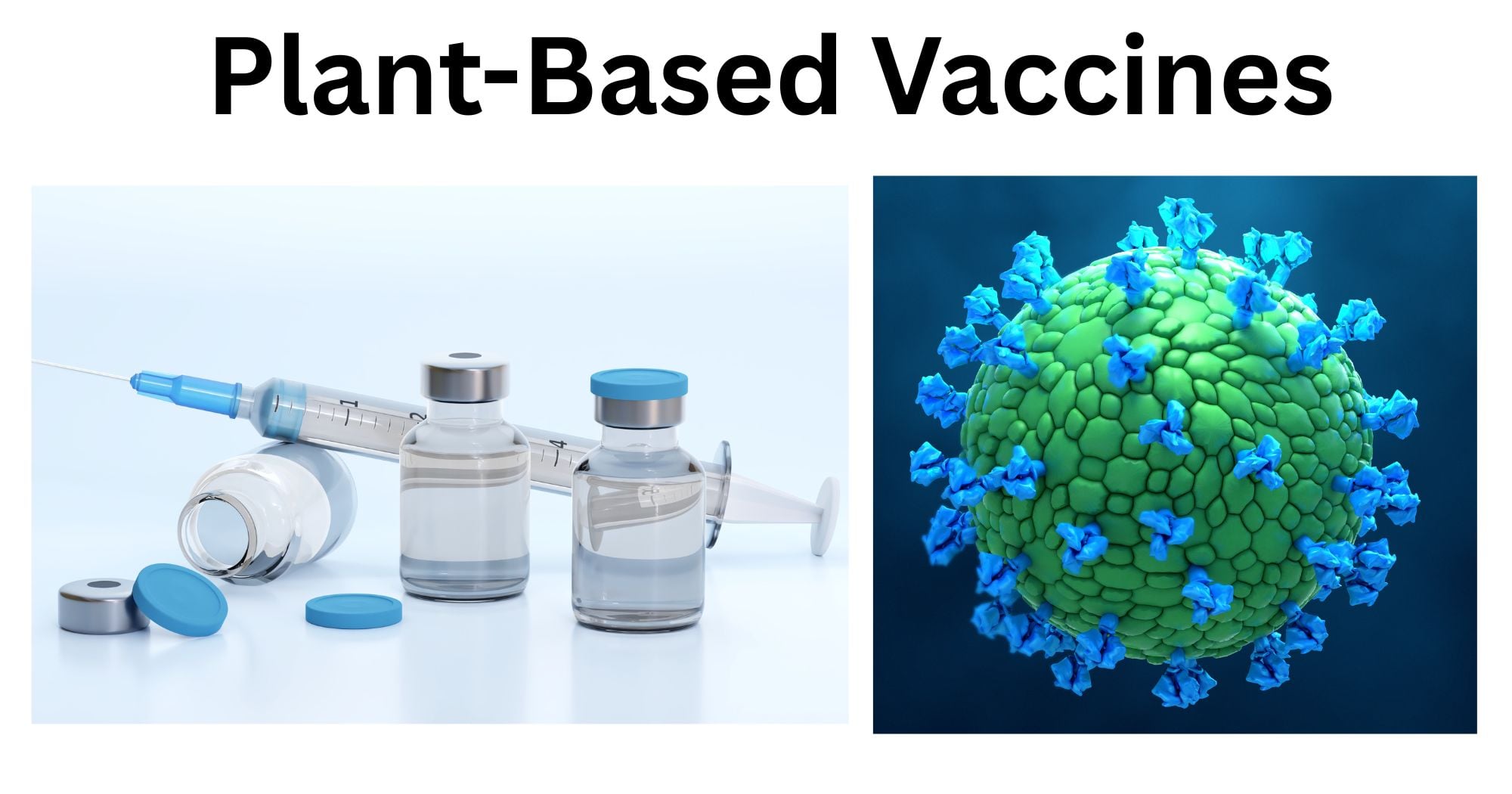Plant Based Vaccines Plant-Based Vaccines