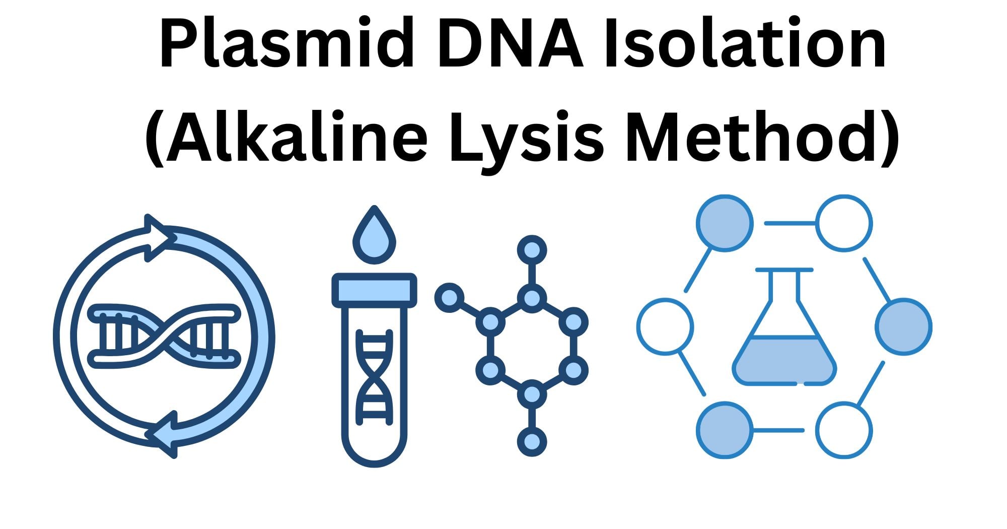 Plasmid DNA Isolation Alkaline Lysis Method Plasmid DNA Isolation (Alkaline Lysis Method)