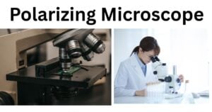 Polarizing Microscope Polarizing Microscope