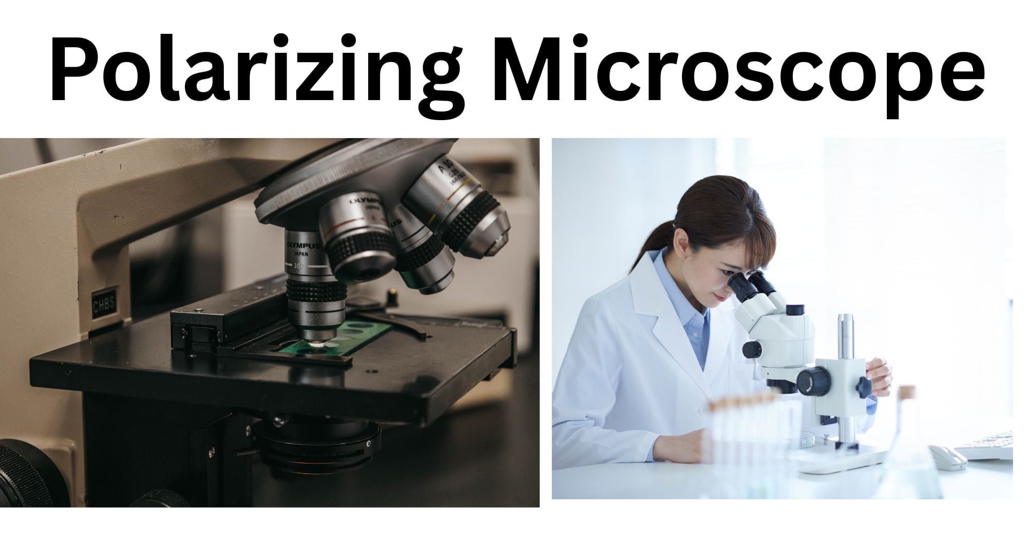 Polarizing Microscope Polarizing Microscope