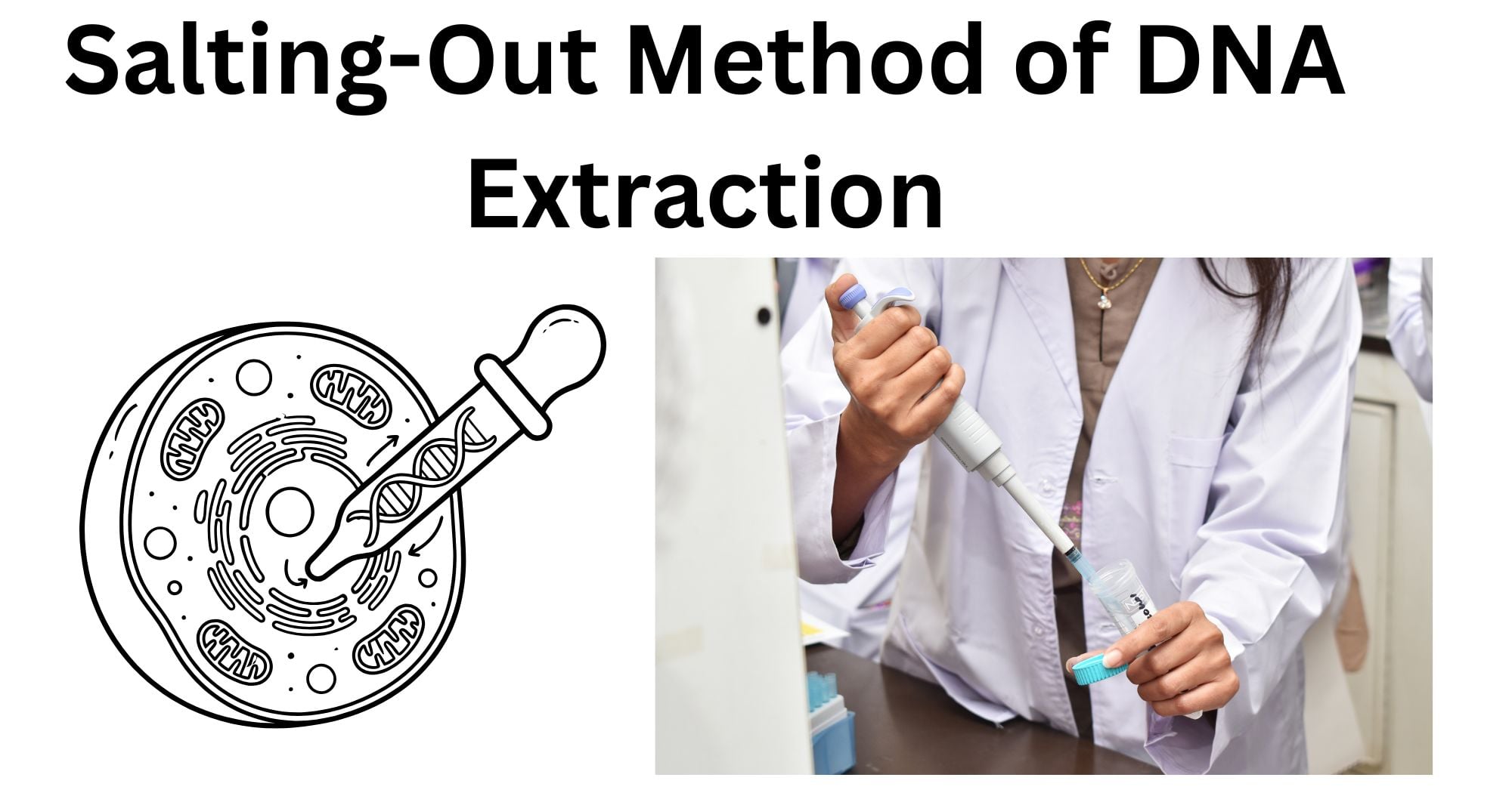 Salting Out Method of DNA Salting-Out Method of DNA Extraction