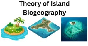 Theory of Island Biogeography Theory of Island Biogeography