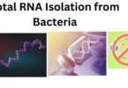 Total RNA Isolation from Bacteria Total RNA Isolation from Bacteria