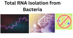 Total RNA Isolation from Bacteria Total RNA Isolation from Bacteria