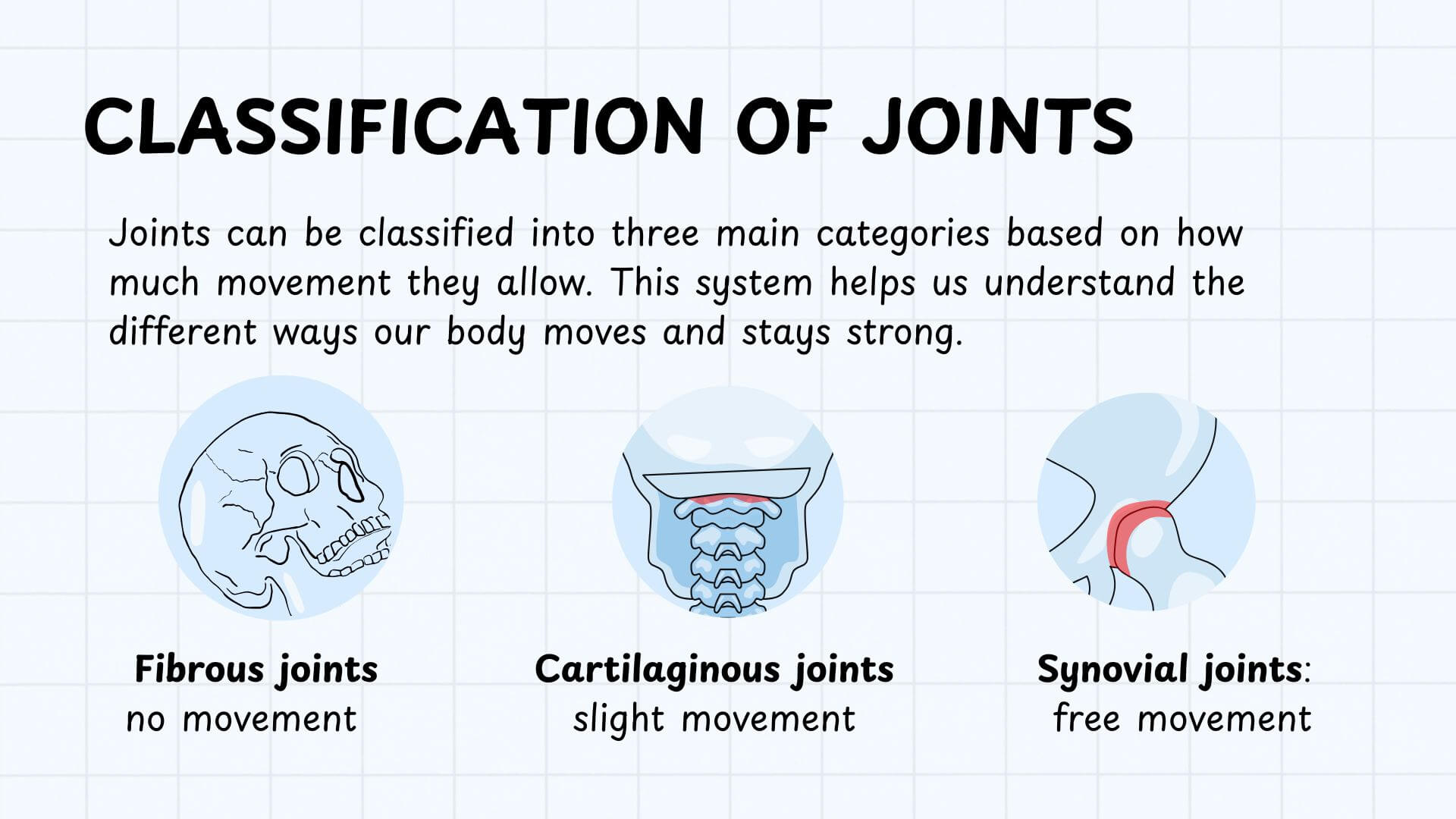 Type of Joints in the Human Body Type of Joints in the Human Body