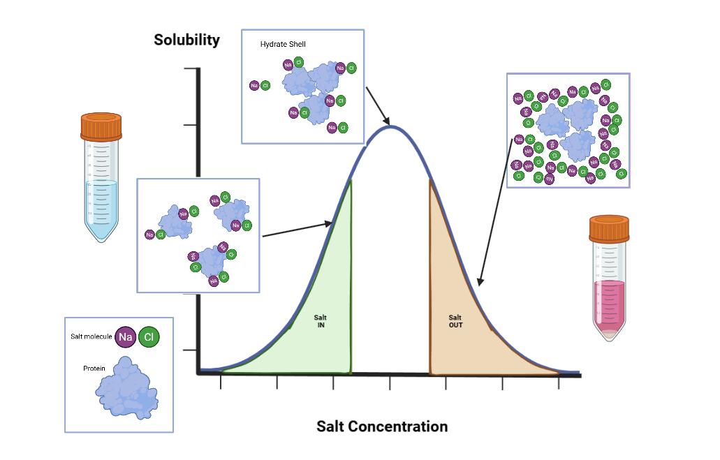 image 110 The principle of salting in and salting out technique, based on increasing salt concentration
