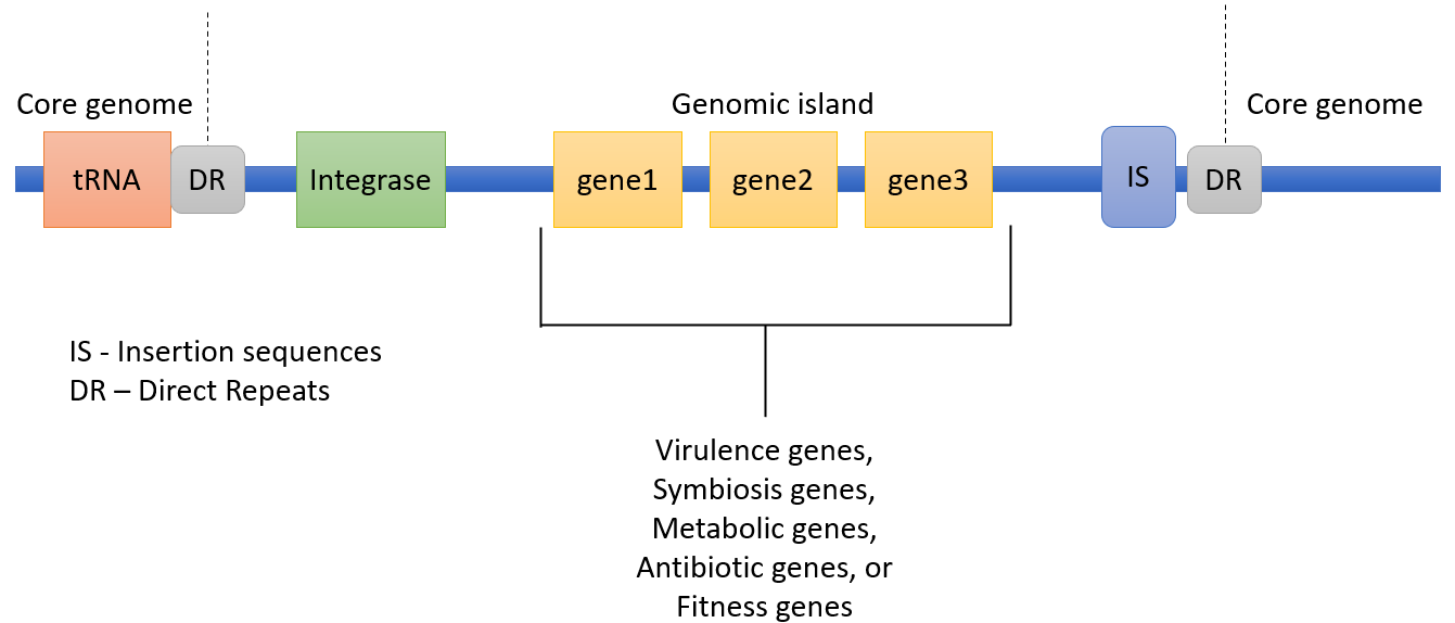 image 133 A Representation of Genomic Islands