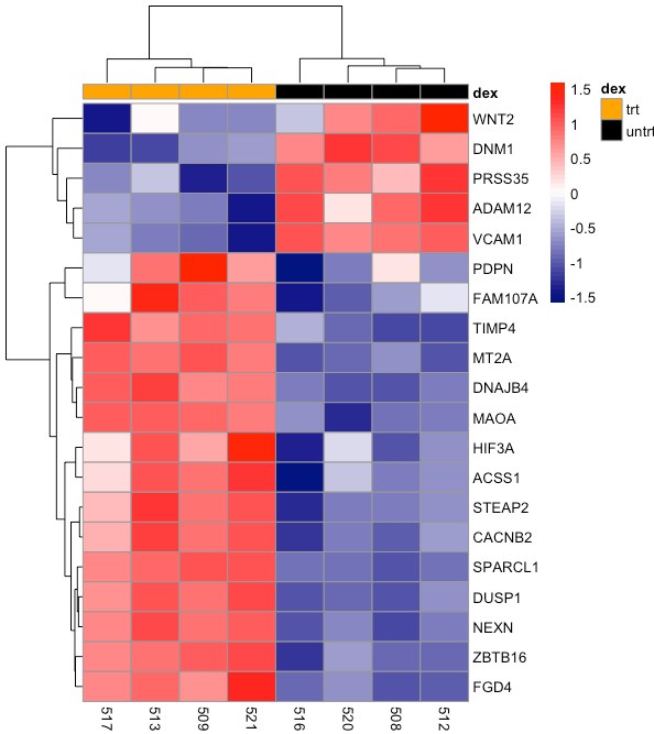 image 147 Hierarchical Clustering Heatmaps showing Correlation in RNA-seq experiment