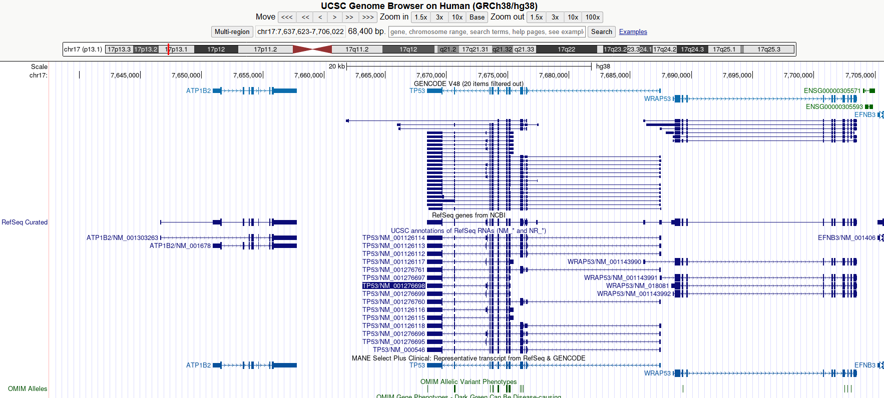 image 155 UCSC Genome Browser on Human (GRCh38/hg38)