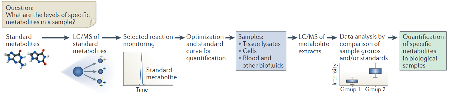 image 189 Workflow of Targeted Metabolomics