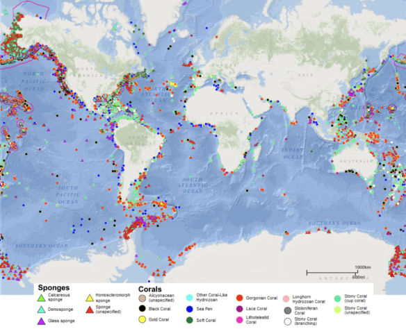 image 19 Coral Distribution