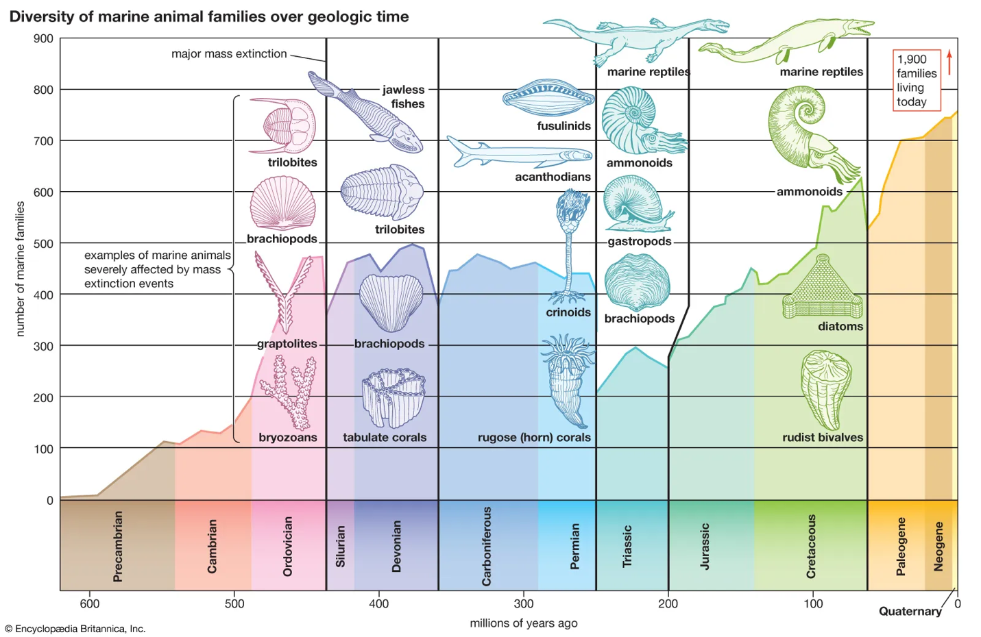 image 38 Diversity of marine animal families over geologic time