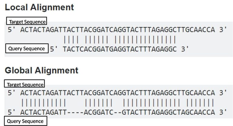 Psa Sequentials Pairwise Sequence Alignment (PSA): Principle, Types, Applications