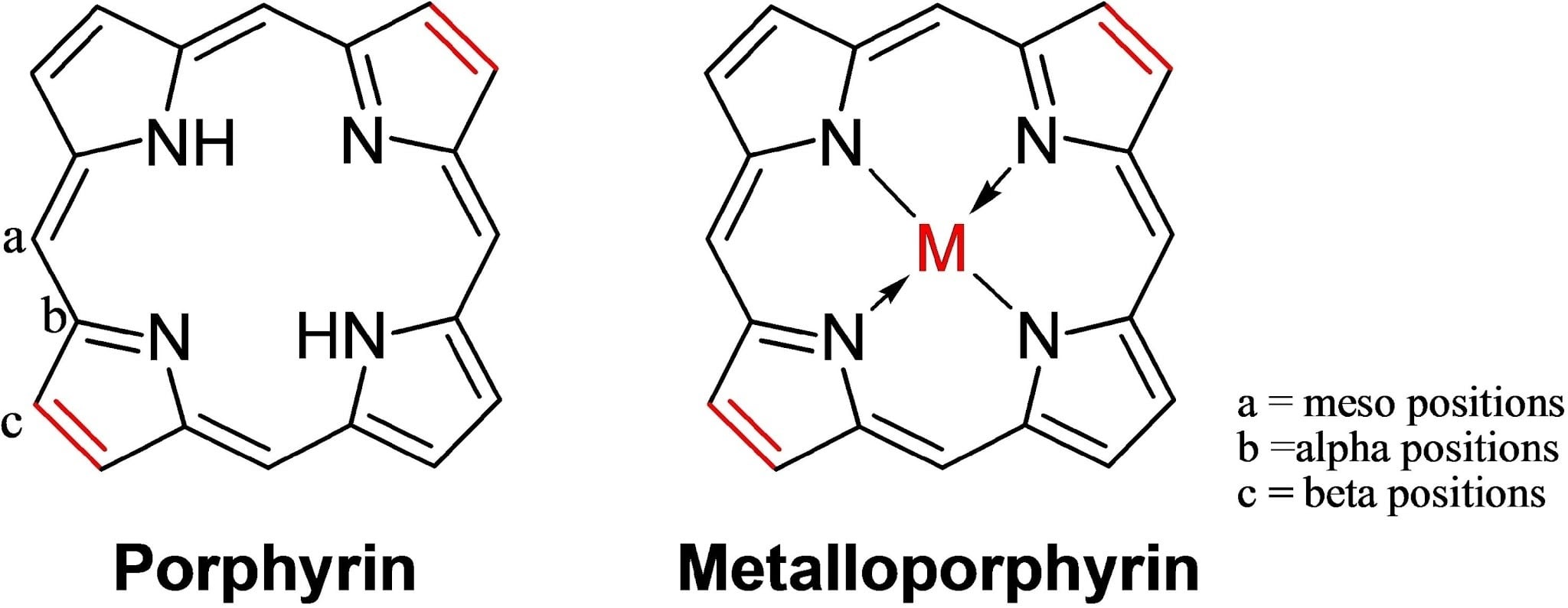 image 53 Structure of Porphyrin and Metalloporphyrin