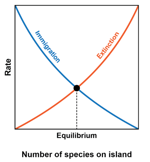 image 67 Equilibrium model of Island Biogeography