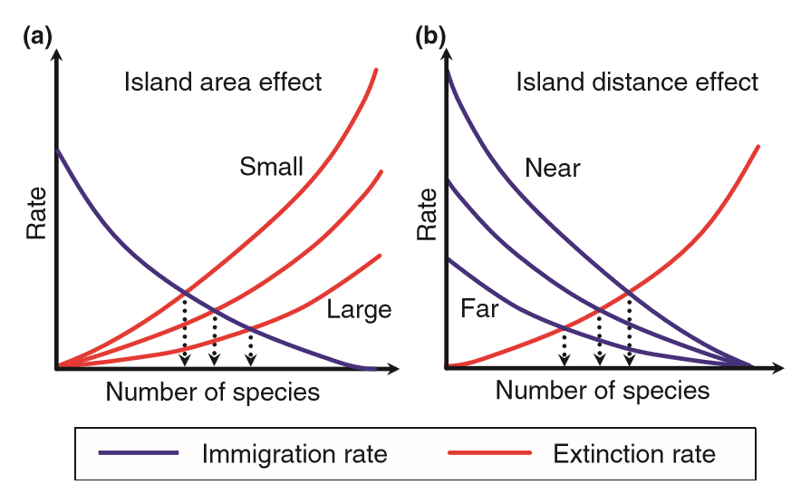 image 68 Species-isolation relationship