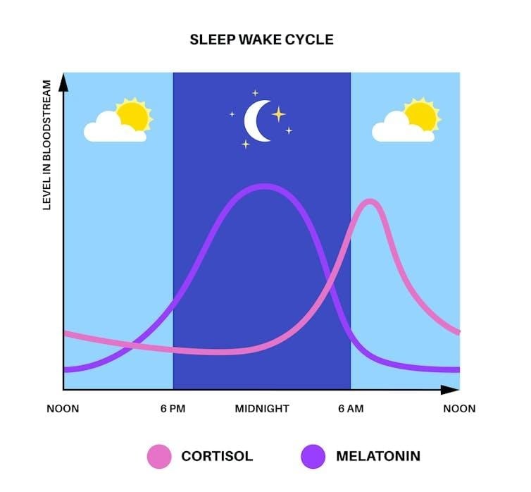 image 69 Variation of Melatonin and Cortisol Levels in the Sleep-Wake Cycle