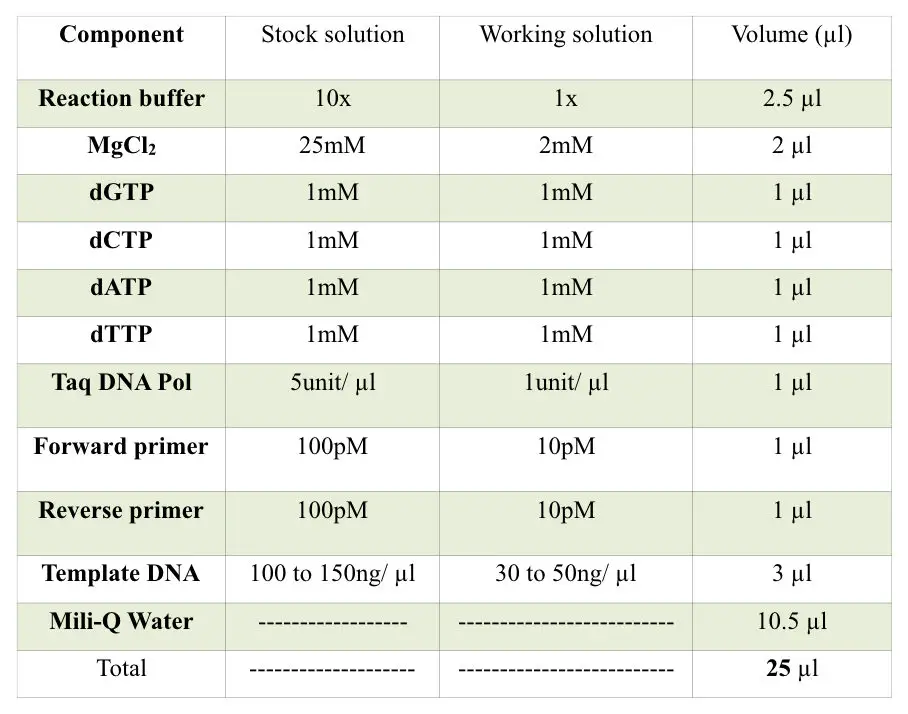 image 7 The PCR reaction preparation recipe
