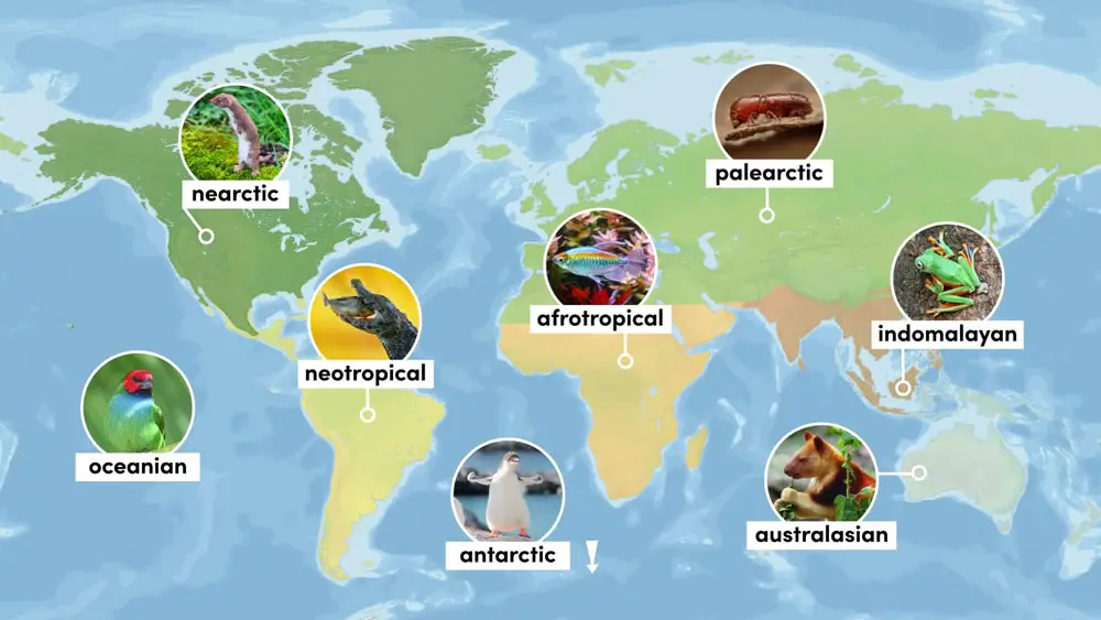 image 72 The Geographical Distribution of Animals