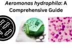 Aeromonas hydrophila A Comprehensive Guide Aeromonas hydrophila: A Comprehensive Guide