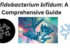Bifidobacterium bifidum 1 Bifidobacterium bifidum