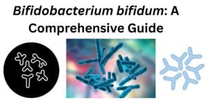 Bifidobacterium bifidum 1 Bifidobacterium bifidum