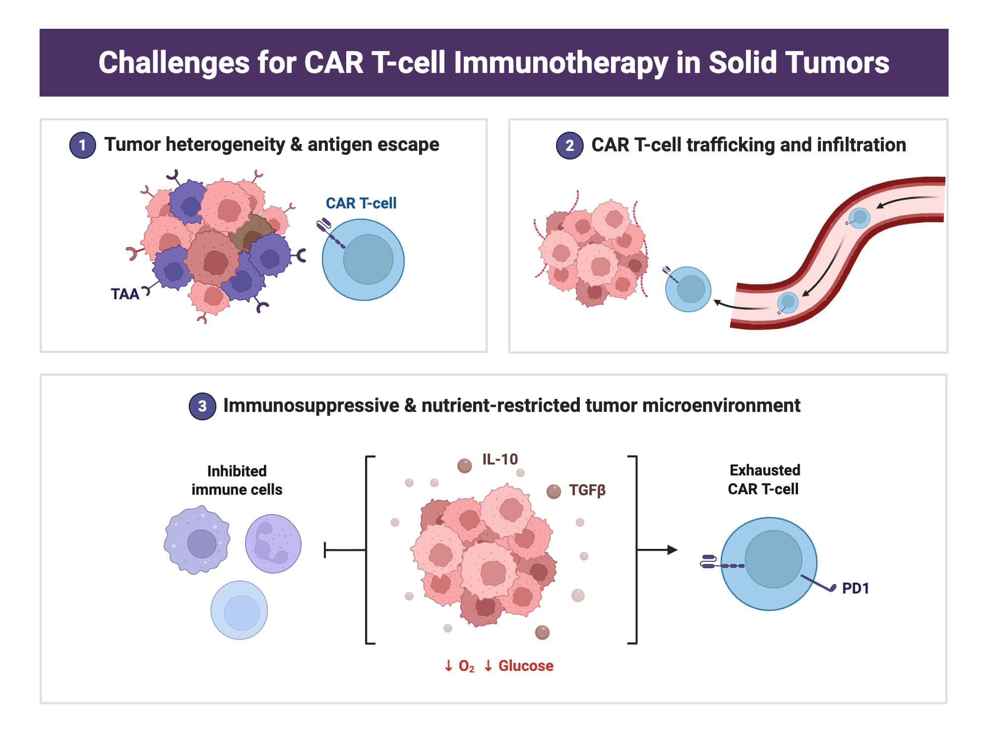 Challenges for CAR T cell Immunotherapy in Solid Tumors Challenges for CAR T-cell Immunotherapy in Solid Tumors