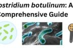 Clostridium botulinum Clostridium botulinum